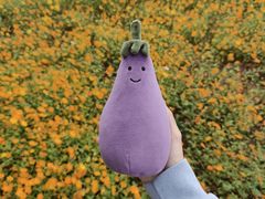 -洋湖国家湿地公园