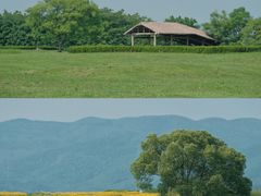 -良渚古城遗址公园
