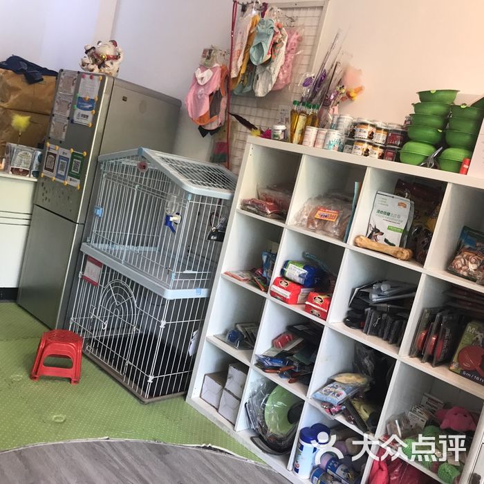 cku上海睿钻极地宠物地方俱乐部