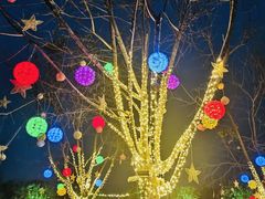 -水上乐园·欢乐世界