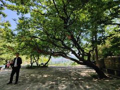 -连云港云龙涧原生态风景区