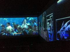 -CGV影城(黄河道ScreenX店)