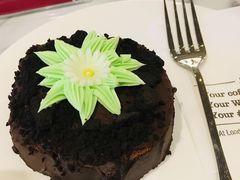 巧克力盆栽蛋糕-COSTA COFFEE(水游城店)