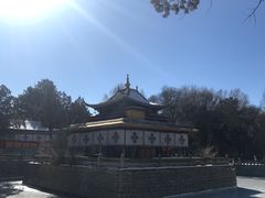 -罗布林卡