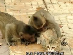 -昆明动物园