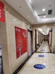 -碧莲盛·不剃发植发