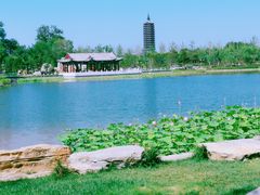 -西海子公园