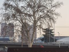 -汉长安城未央宫国家考古遗址公园