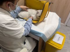-恒幸动物医院·急重症转诊中心·神经内外科·CT核磁