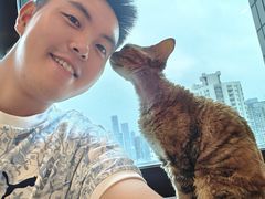 -有喵·猫咖·狗咖·30几只猫10只小狗(岗厦店)