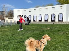 -意大利农场度假村