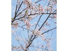 -独墅湖图书馆停车场