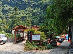 -水墨汀溪风景区
