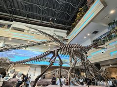 -安徽省地质博物馆