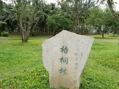 -万绿园