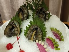 小鲍鱼-尚海豆捞(乐虹坊店)