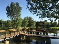 -东郊湿地公园