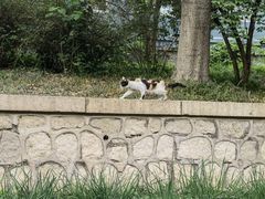 -元大都城垣遗址公园