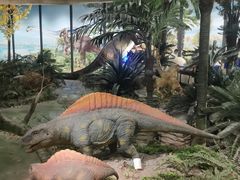 -湖南省地质博物馆