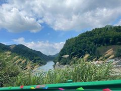 -杨家寨