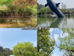 -宁波野生动物园