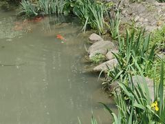 -苏州河梦清园环保主题公园