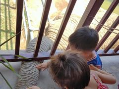 -西霞口神雕山野生动物世界