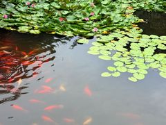 -大连植物园