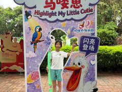 -广州长隆飞鸟乐园