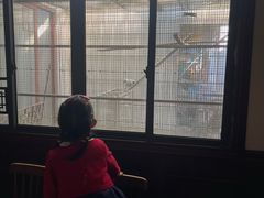 -观桥阁(锦溪店)