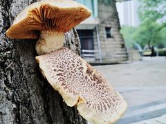 -苏州河梦清园环保主题公园