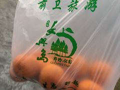 橘子-上海长兴岛郊野公园