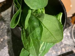 -老牌坊云南鱼豆花火锅(哈西万达店)