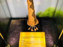 -信不信由你博物馆
