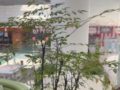 -大树餐厅(红旗街万达店)