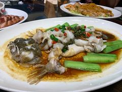 -猪肉婆私房菜(容桂总店)