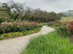 -映月湖公园