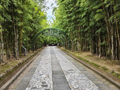 -蝴蝶泉公园