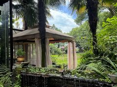 -野蔓果·山野菜(西湖景区·龙井茶田店)