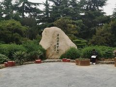 -西苑公园