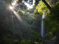 -莫里热带雨林景区