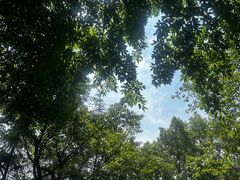 -龙头寺公园