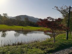 -径山花海
