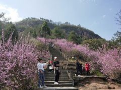 -天台山赤城山景区