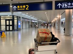 -上海浦东国际机场-T2航站楼