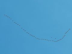 -合肥三国新城遗址公园