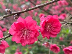-白水带风景区体育公园