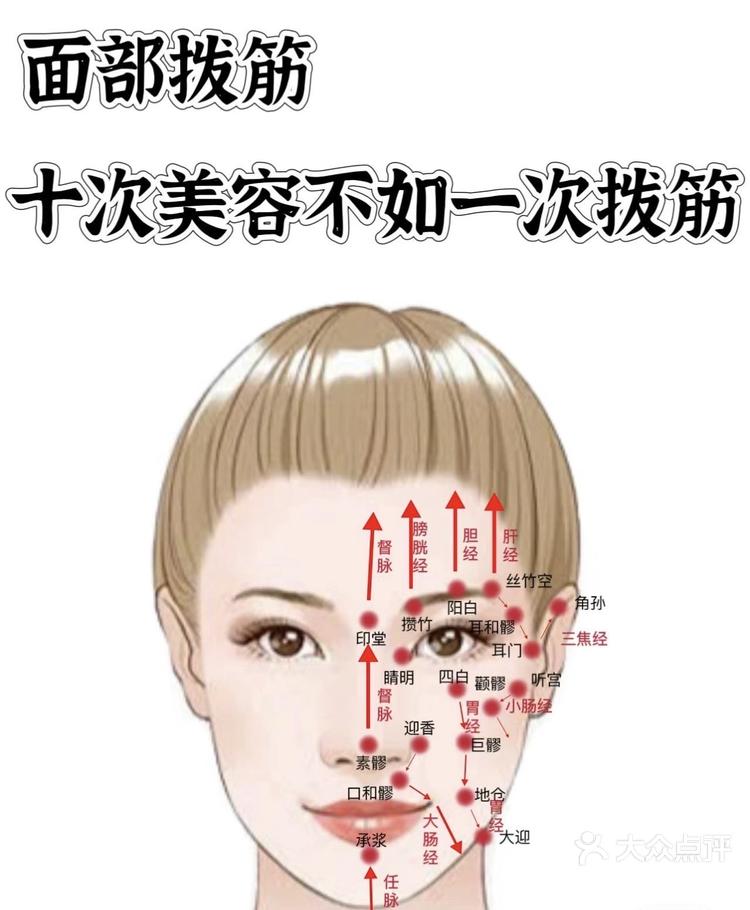 头部胆经 位置图图片