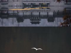 -重庆彩云湖湿地公园