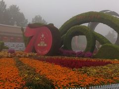 -大兴滨河森林公园